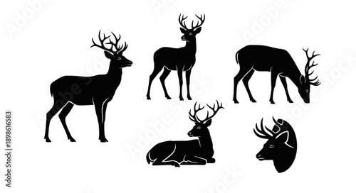 Collection of Deer Silhouettes in Various Poses.