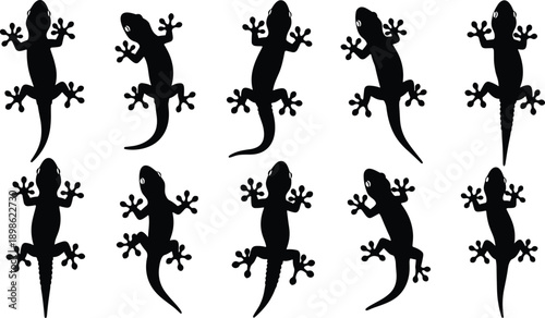 Black Silhouette Set of Gecko Lizards in Various Poses, Reptile Icon Collection, Tropical Animal Symbols, Salamander and Newt Vector Illustration