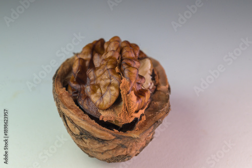 Wallpaper Mural Walnut kernel in cracked shell macro Torontodigital.ca