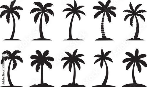 Collection of diverse palm tree silhouettes