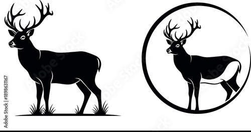 Deer silhouette illustration set with standing stag and circular emblem design, wildlife animal logo style black and white vector art