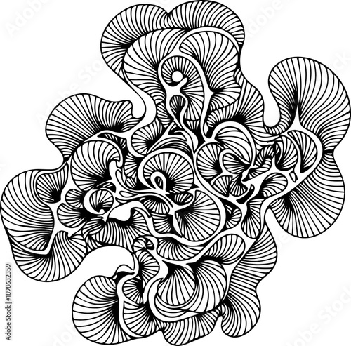 Abstract Organic Line Pattern Resembling Brain Coral, Detailed Monochrome Fluid Design