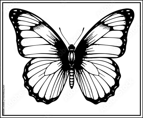 Intricate butterfly illustration with detailed stippling and dot work, vintage scientific drawing style for natural history and art projects.