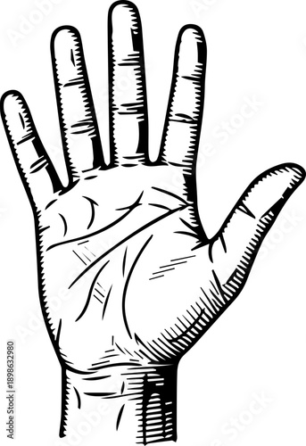 Detailed Hand-Drawn Illustration of a Palm with Palmistry Lines for Divination