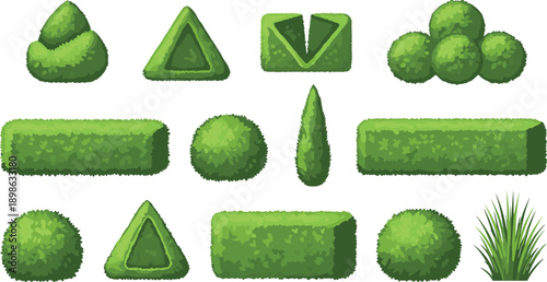 Garden hedge and bush shapes set with trimmed greenery elements, topiary plants and landscaping icons in green vector illustration