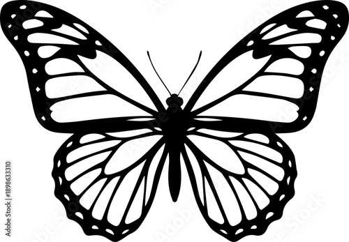Symmetrical Black Butterfly Silhouette Vector Illustration, Monarch Butterfly Icon Isolated on White