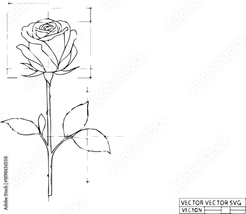 Simple Rose Flower Botanical Sketch on Graph Paper for Engineering and Design Studies