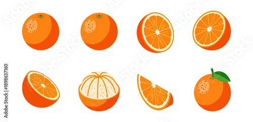 Orange fruit illustration set various views sliced whole segments