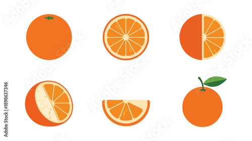 Orange fruit sections whole and cut isolated illustration