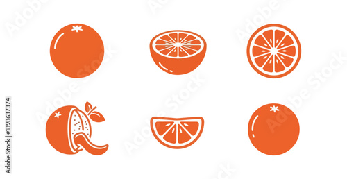 Orange fruit slices graphic illustrations vector set