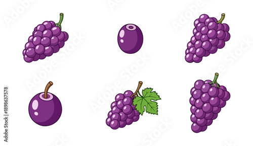 Purple grapes assortment isolated on black background