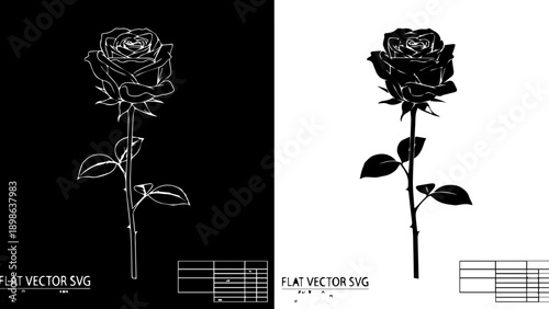 Elegant rose flower line art and solid silhouette, minimalist flat vector illustration on split dark and light blue background