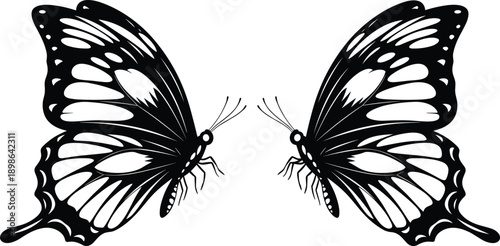 Twin butterfly silhouette illustration facing each other, symmetrical insect wings design, nature beauty, transformation and balance concept isolated on white background