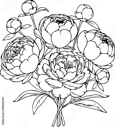 Elegant peony bouquet, perfect for wedding invitations, greeting cards, or romantic designs. Delicate floral arrangement with timeless appeal, originally vector art
