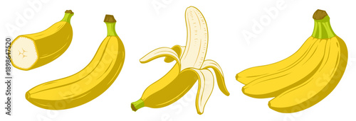 Banana Set Flat Vector Illustration