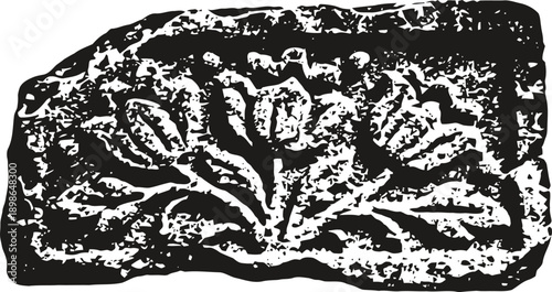 ancient stone carving with floral motif, weathered decorative relief in black and white