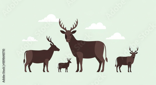 Group of Deer Standing Together in a Field.