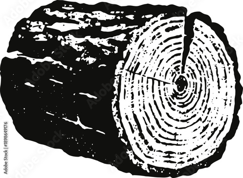 Cut tree log cross section showing growth rings and textured bark in black and white