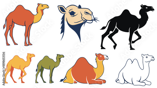 A colorful illustration of various camel poses and styles on a white background