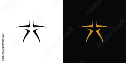 unique and cool star icon logo design