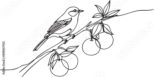 A bird perched on a branch with peaches and leaves in a serene natural setting viewed from the side
