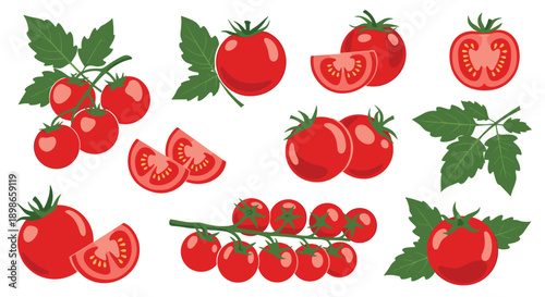 Comprehensive collection of red tomato illustrations showing whole fruits, slices, wedges, and clusters on the vine with green leaves.