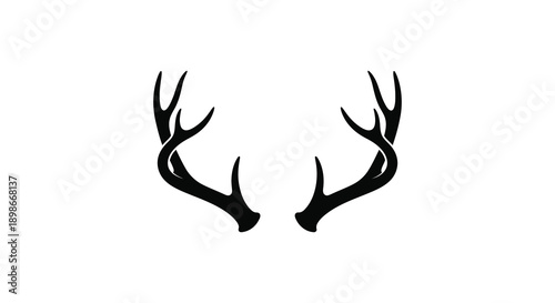 A striking image displays a pair of large symmetrical deer antlers against a plain white background a bold silhouette