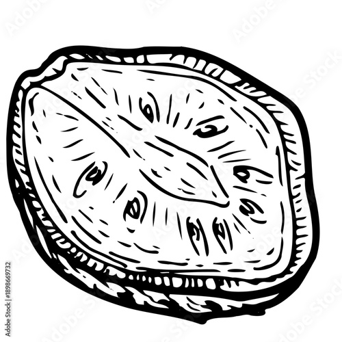 Soursop fruit cutting top view. Hand drawn vector art. Guanabana exotic fruit outline.