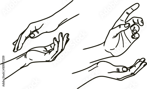 Hands in different positions and gestures  human body parts  palm and fingers  various movements and expressions