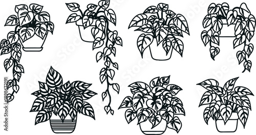 Set of potted houseplants with various leafy greens and stems in simple line art style for decoration and design  plants in flower pots