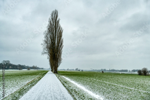 Verschneite Winterlandschaft am Rhein in Kaiserswerth