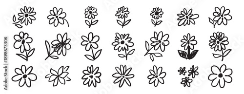 brush flowers daisies or camomile doodle hand drawn icon set. Outline drawing flower line clipart symbol collection