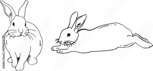 Two hand-drawn Easter bunnies in black and white. One bunny sits calmly while the other stands upright, showcasing their distinct features and playful nature.