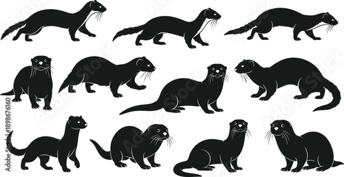 Black silhouette vector set of weasel ferret and otter icons in various walking and standing poses isolated on white background for wildlife nature design