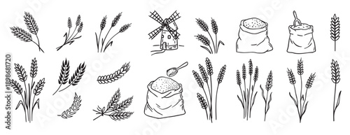 wheat and cereal plants, rye barley and ears of wheat in bag doodle hand drawn icon set. Outline drawing ears of wheat line clipart symbol collection