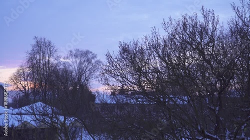 Wallpaper Mural A calm winter evening shows pastel dusk light over a town where bare branches and bushes rise above snow-covered roofs. Soft colors and quiet silhouettes create a serene panoramic atmosphere.  Torontodigital.ca