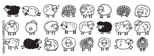 Doodle hand drawn funny cute sheep outline set. Drawing sheep