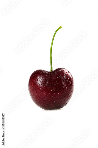 Fresh Black Cherry with Water Droplets and Green Stem Isolated on White Background