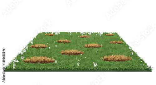 Green Grass Lawn Patches, Dry Spots, Yard Damage, Conceptual of Summer Heat Isolated on Transparent Background, Ideal for Landscape Design, Gardening Graphics