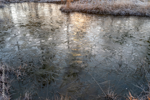 Icy Pond