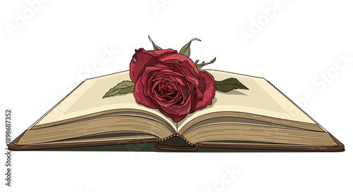 Red Rose on Open Book Vector Graphic: Symbol of Love and Knowledge, Floral Design Element, Romance Novel Illustration isolated on transparent background.