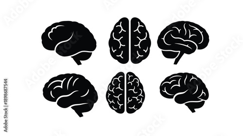 Four black brain depictions with unique perspectives a striking silhouette