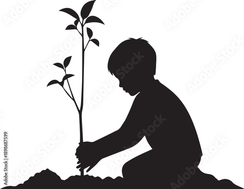 Young boy silhouette kneeling carefully planting small tree seedling into the earth ground