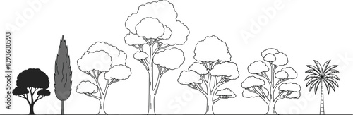 Minimalist vector line art illustration set of diverse trees including palm cypress and deciduous types isolated on white background for landscape design graphics