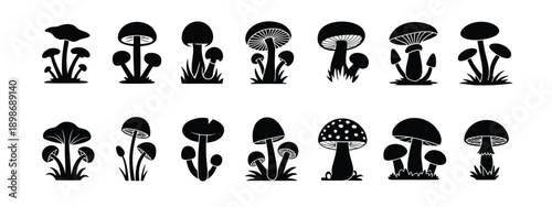 Mushrooms silhouette on white background, featuring clean vector illustrations of various mushroom shapes for nature, forest, and decorative design projects.