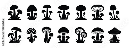 Mushrooms silhouette on white background, showcasing isolated vector mushroom shapes for botanical illustrations, natural designs, and educational graphics.