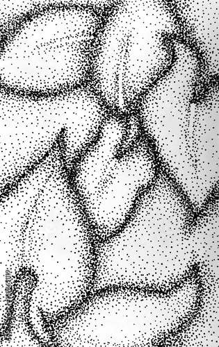 Black and white drawing of leaves, stippling effect background