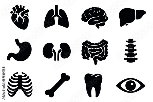 Simple silhouette human internal organs and body parts set featuring heart, lungs, and brain for medical and educational purposes