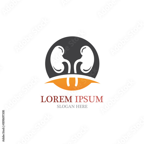 kidney vector illusrtation