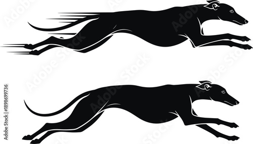 Running greyhound silhouette set, fast dog sprinting side view, racing speed motion illustration